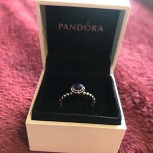 Pandora Discontinued